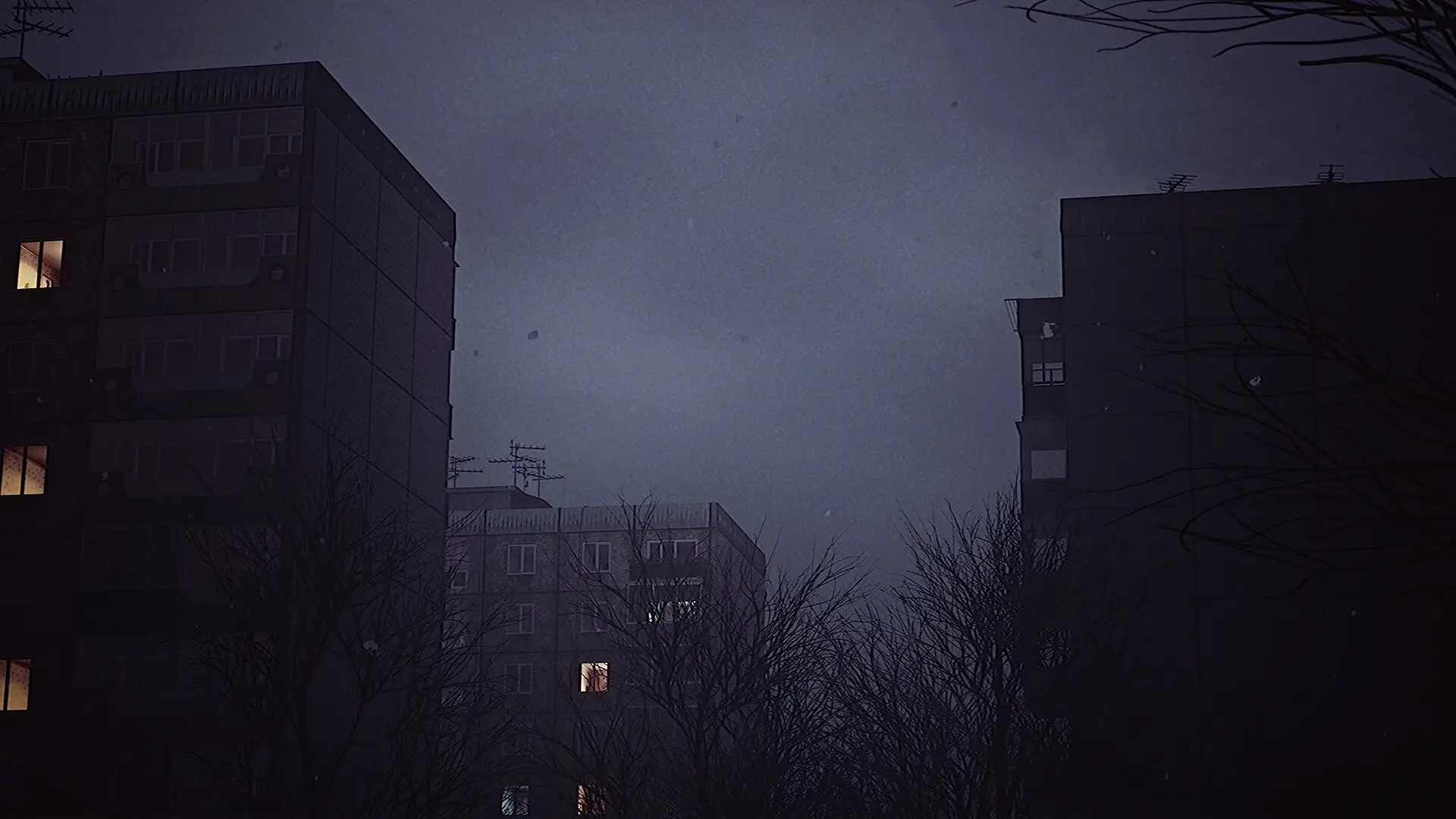 Buildings at night